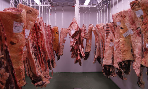 corte de la carne